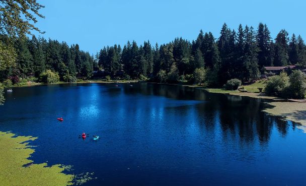 Tranquil Lake Bonney op een warme zonnige dag in Bonney Lake Washington State - Foto, afbeelding