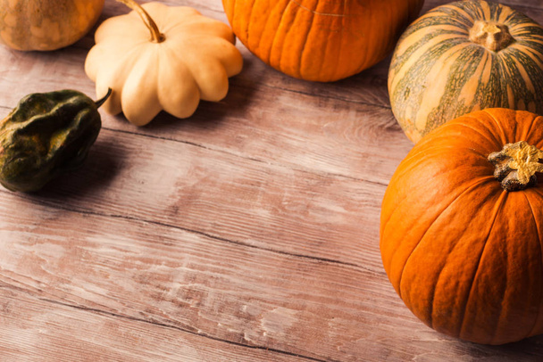 Autumn moody rustic background with pumpkins - Фото, изображение
