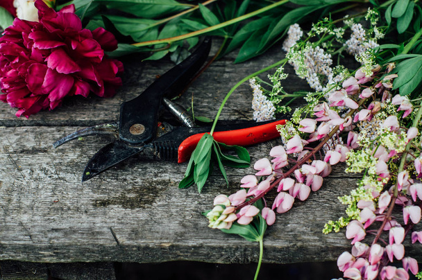 Tesouras de jardim com tremoço e peônias
  - Foto, Imagem