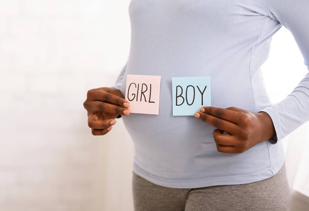 Mujer embarazada sosteniendo tarjetas de color rosa y azul al lado del vientre
 - Foto, imagen