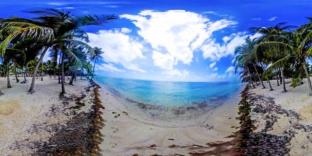 360 stupňů pohled pláže Raisins Clairs v Guadeloupe - Fotografie, Obrázek