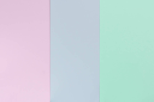 Pastel color paper background. Geometric flat composition. Empty space on monochrome cardboard. - Photo, Image