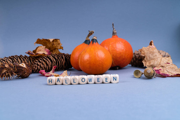 Halloween koncepció sütőtökkel, színes levelekkel, fenyőtobozokkal és makkokkal szürke alapon, másolási hellyel - Fotó, kép