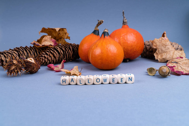 Halloween-Konzept mit Kürbis, bunten Blättern, Tannenzapfen und Eicheln auf grauem Hintergrund mit Kopierraum - Foto, Bild