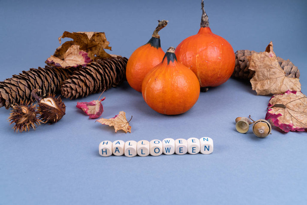 Halloween koncept s dýní, barevné listy, jedle kornouty a žaludy na šedém pozadí s kopírovacím prostorem - Fotografie, Obrázek