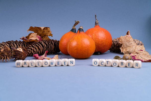 Halloween concept met pompoen, kleurrijke bladeren, dennenappels en eikels op grijze achtergrond met kopieerruimte - Foto, afbeelding