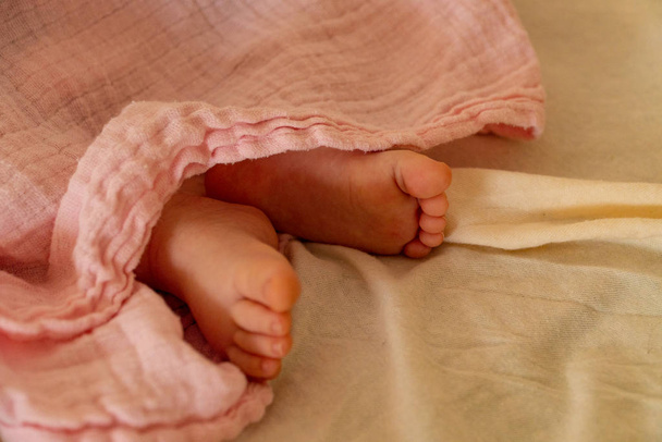 Avvicinamento di piedi di bimbo di un neonato sotto lenzuola rosa - concetto neonato
 - Foto, immagini