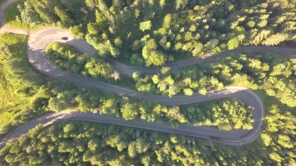 Antenni näkymä mutkainen tie niitto autoja ja kuorma korkea vuoristo pass kaukalo tiheä metsä. - Materiaali, video