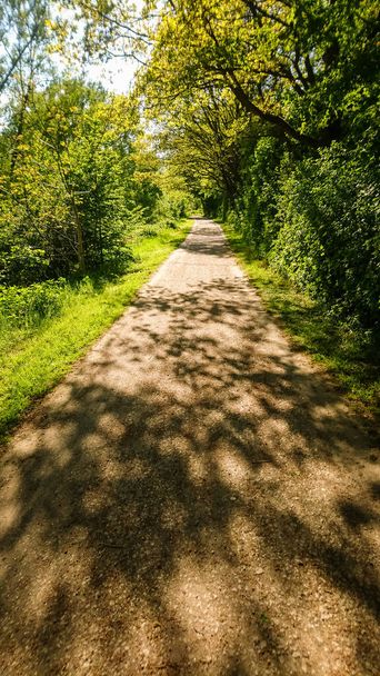 Un sentier sablonneux avec des buissons verts sur les côtés et le soleil et l'ombre en été
 - Photo, image