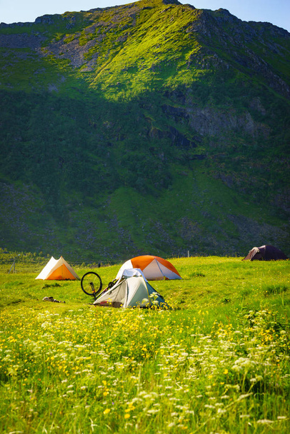 Tent and bike on nature, Lofoten Norway - Фото, зображення