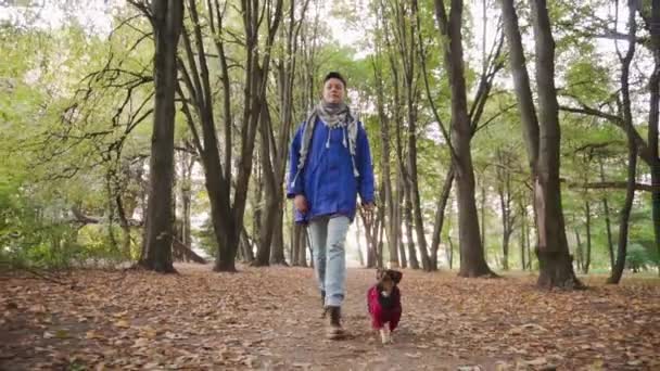 Kobieta spacerująca z psem w parku. Cute little terrier szczeniak działa przez jesienny park. - Materiał filmowy, wideo