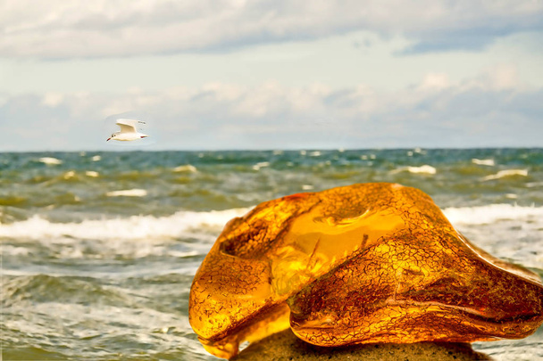 Âmbar em sol em uma praia do mar Báltico
 - Foto, Imagem
