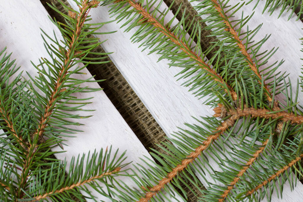 Fir branches on a background of wooden boards. The boards are painted white. - Foto, Imagen