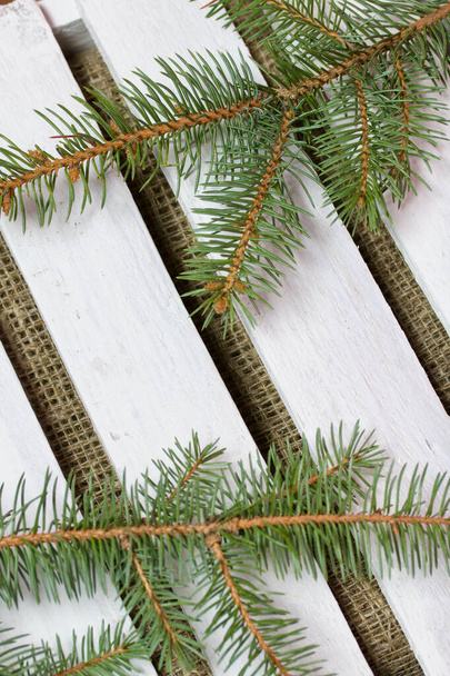 Fir branches on a background of wooden boards. The boards are painted white. - Photo, Image