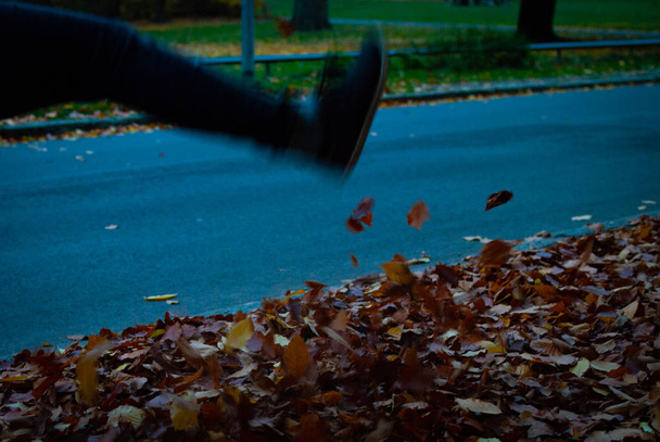 Obraz pokazujący chodnik pełen liści kopniętych przez małą stopę - Zdjęcie, obraz