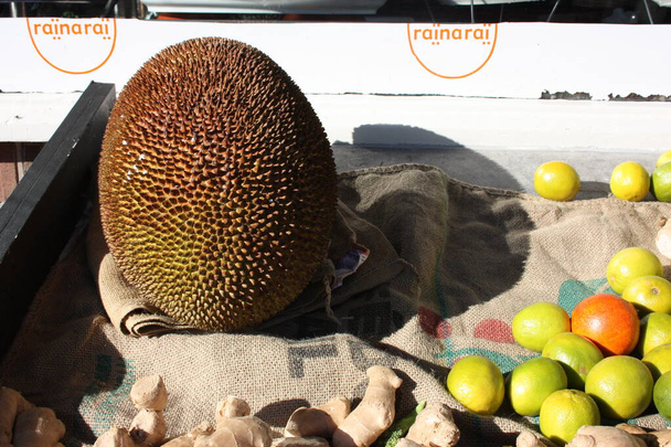 große reife frucht von durion oder durian auf einem marktstand in amsterdam - Foto, Bild