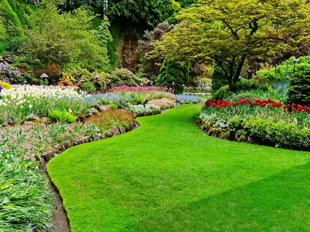 Jardín de primavera
 - Foto, imagen