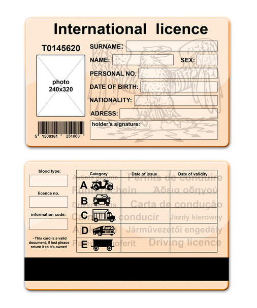 Patente di guida
 - Foto, immagini