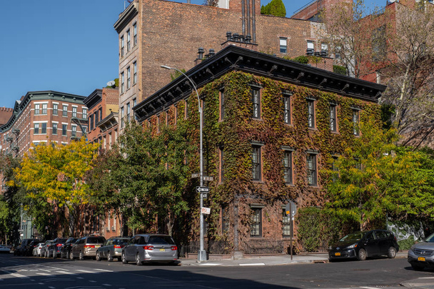 Цвет осенней листвы Гринвич-Виллидж в Нижнем Манхэттене
 - Фото, изображение