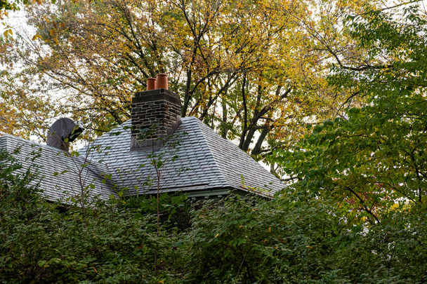 Color del follaje otoñal de Fort Tryon Park en Fort George Manhattan
 - Foto, imagen