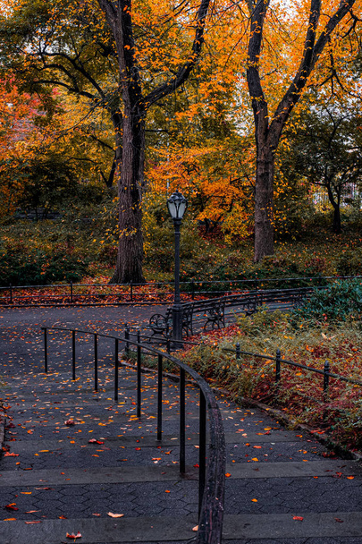 Herfst gebladerte kleur van Central Park in Manhattan - Foto, afbeelding