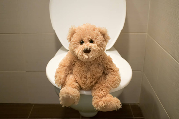 αρκούδα κάθονται στην τουαλέτα closeup παιδιά ασήμαντη εκπαίδευση - Φωτογραφία, εικόνα