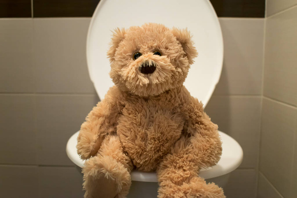 beer zitten op toilet closeup kids potty training - Foto, afbeelding