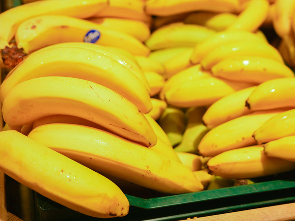 žluté banány jsou na pultě. Žluté zralé banány na pultu. Sklizeň zralých žlutých banánů ve výloze obchodu na trhu  - Fotografie, Obrázek