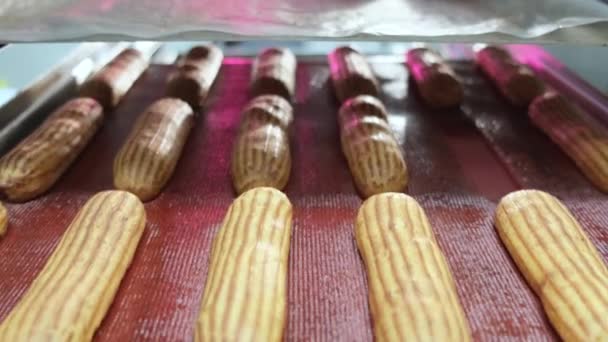 Nahaufnahme von leckeren Kuchen, die auf Vitrine in der Konditorei liegen - Filmmaterial, Video