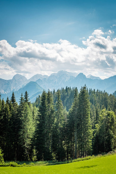 Widok z Podolsevy na pasmo górskie Kamnik Savinja Alpy, Słowenia - Zdjęcie, obraz