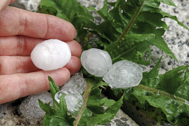 Large hailstones on the hand of a woman in a storm - Photo, Image