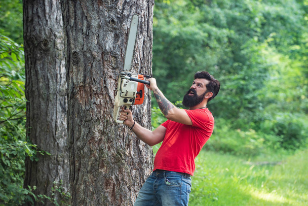 Logging. Firewood as a renewable energy source. Lumberjack in the woods with chainsaw axe. Professional lumberjack holding chainsaw in the forest. - Foto, imagen