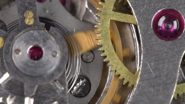 Pracovní mechanismus kapesních hodinek - Záběry, video