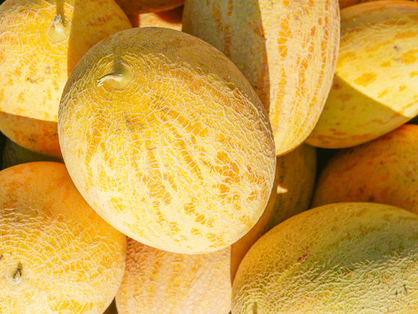 Melonen in der Sonne. Melonenernte. Landwirtschaft. Gute Ernte - Foto, Bild