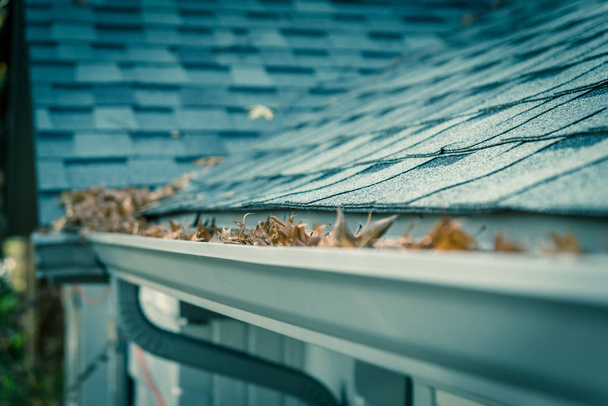 Selective focus clogged gutter near roof shingles of residential house full of dried leaves and dirty need to clean-up. Blocked drain pipe on rooftop. Gutter cleaning and home maintenance concept - Fotografie, Obrázek