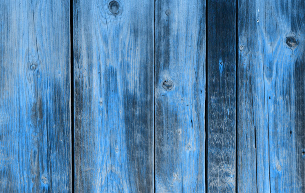 木の壁自然パターンの木の青の背景。トレンディ2020年の色. - 写真・画像