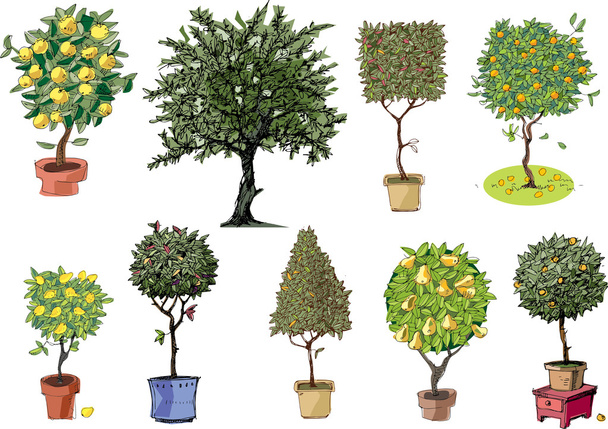 Набор маленьких деревьев - мультфильм
 - Вектор,изображение