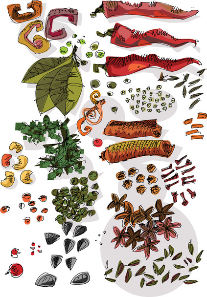 Spices - cartoon - Vector, Image