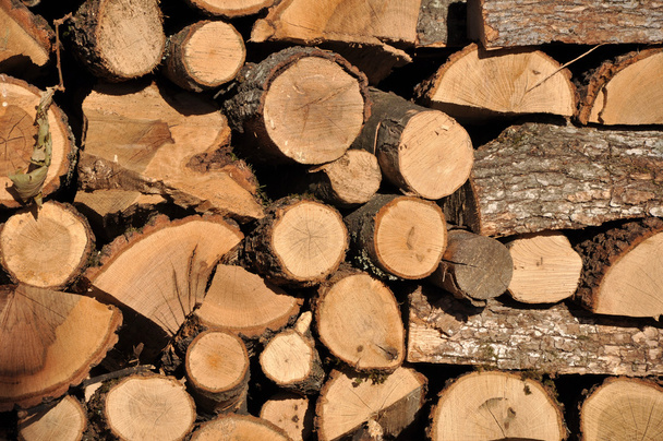 palivového dřeva - Fotografie, Obrázek