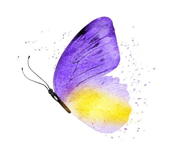 Papillon aquarelle, isolé sur fond blanc - Photo, image