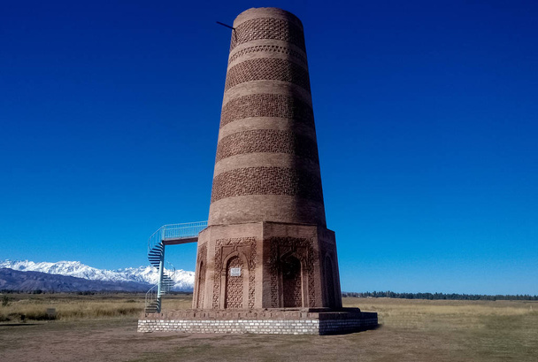Ancient Burana tower in the field - Photo, Image