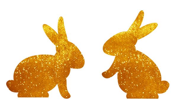 Two golden rabbits on white - Foto, immagini