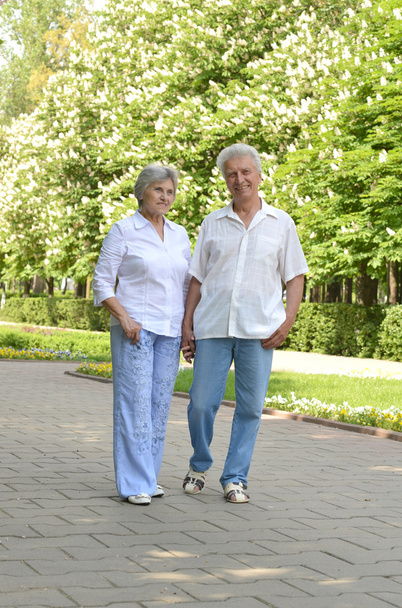 happy older couple - Фото, изображение