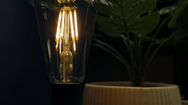 Lámpara de mesa con una bombilla edison de primer plano
 - Metraje, vídeo