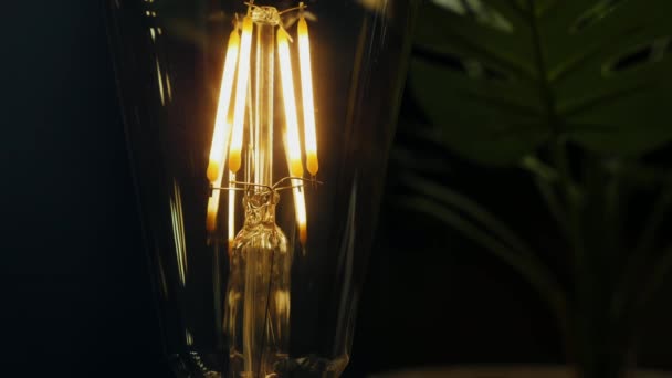 Klassieke edison lamp close-up - Video