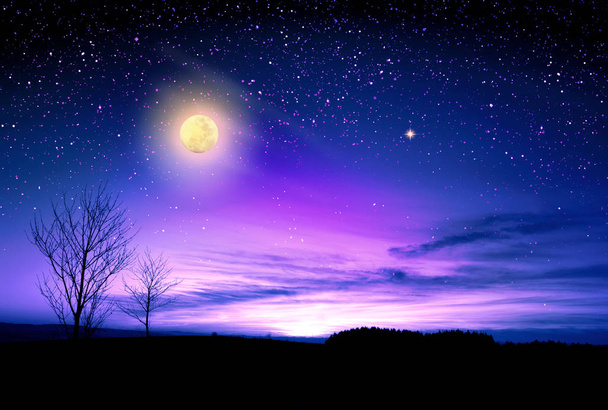 Beau paysage avec ciel nocturne et grande pleine lune. Paysage naturel
. - Photo, image