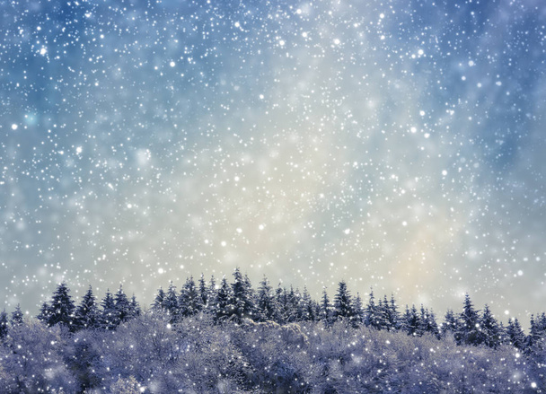 Pays des merveilles hivernales avec sapins et chutes de neige
. - Photo, image