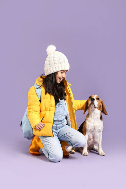 Little Asian girl with cute beagle dog on color background - 写真・画像
