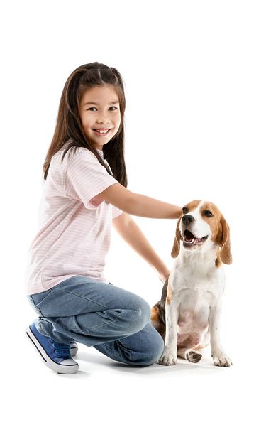 Little Asian girl with cute beagle dog on white background - Foto, imagen