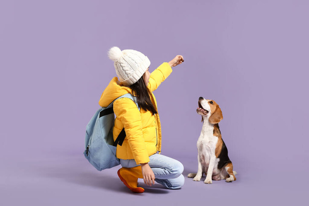 Klein Aziatisch meisje met schattige beagle hond op kleur achtergrond - Foto, afbeelding